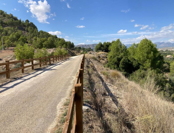 Rustic land For sell in Cehegin in Murcia 