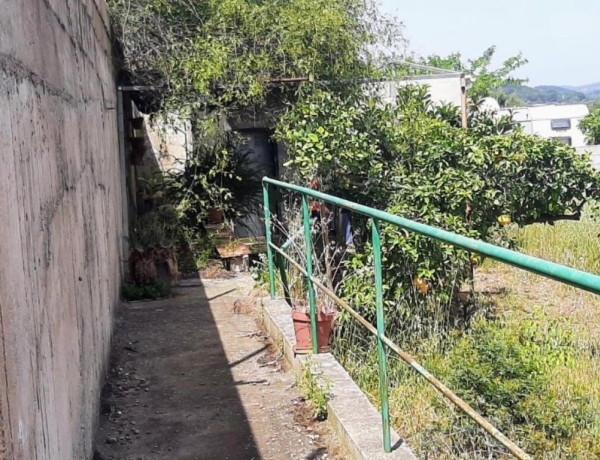 Rustic land For sell in Sagunto in Valencia 