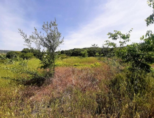 Rustic land For sell in Sagunto in Valencia 