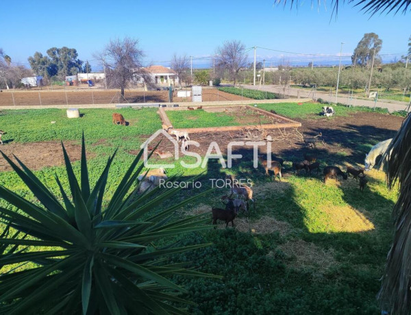 Casa en venta en Monte Alto (La Carlota).