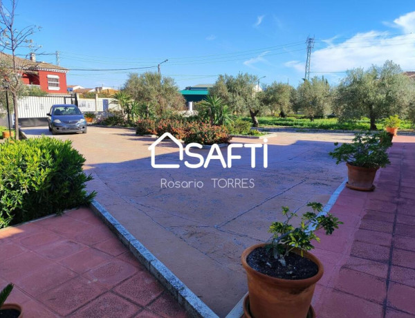 Country house For sell in Santaella in Córdoba 
