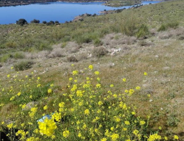 Urban land For sell in Cobisa in Toledo 