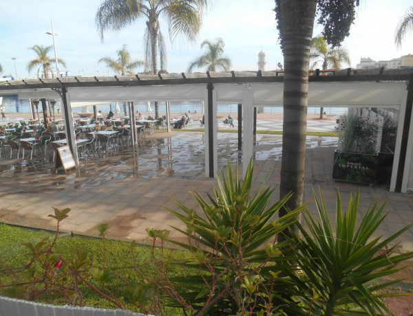 Commercial Premises For sell in Gandia in Valencia 