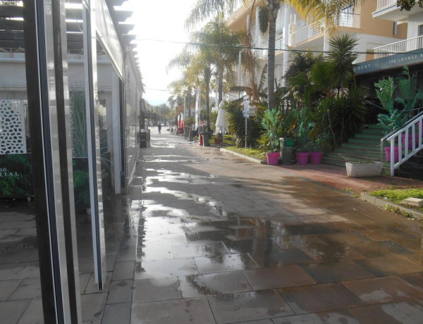 Commercial Premises For sell in Gandia in Valencia 