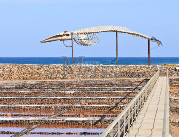 Rustic land For sell in Antigua in Las Palmas 