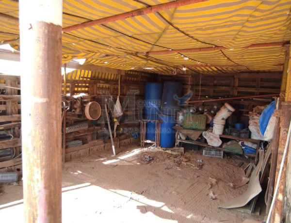 Rustic land For sell in Puerto Del Rosario in Las Palmas 