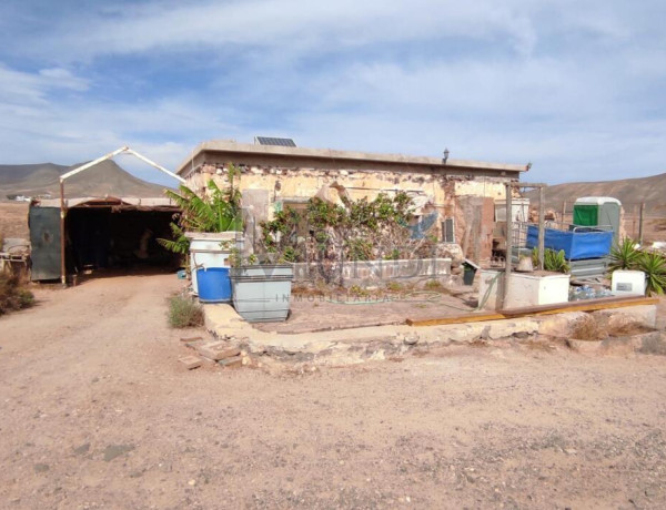 Rustic land For sell in Puerto Del Rosario in Las Palmas 