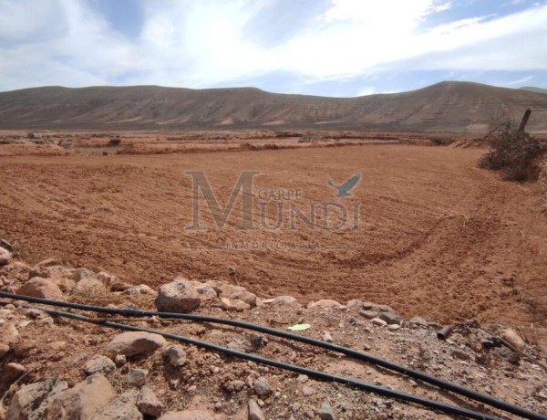 Rustic land For sell in Puerto Del Rosario in Las Palmas 