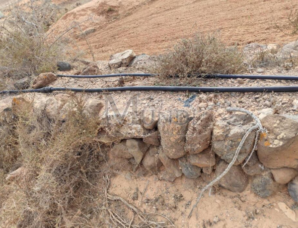 Rustic land For sell in Puerto Del Rosario in Las Palmas 