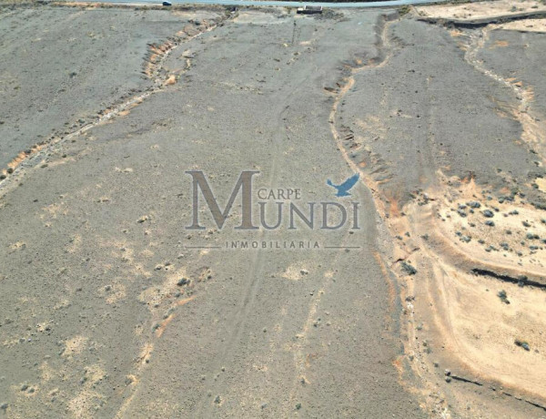 Rustic land For sell in Oliva, La in Las Palmas 