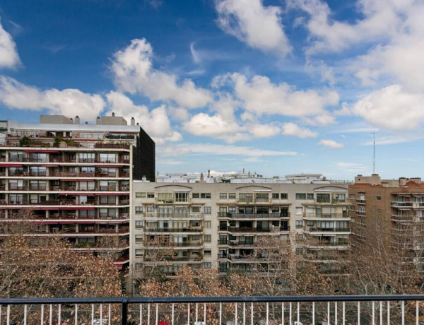 Oportunidad Paseo Prim