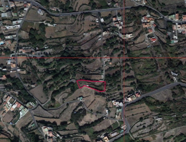 Rustic land For sell in Realejo Alto in Santa Cruz de Tenerife 
