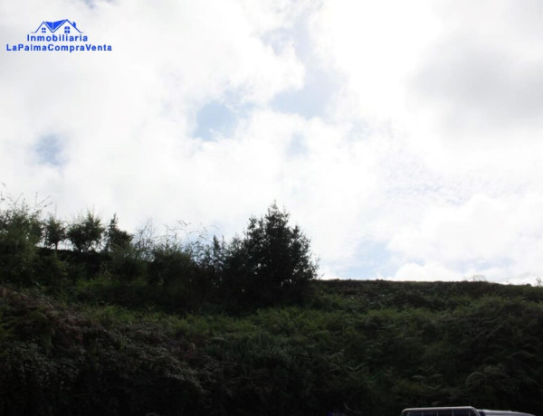 Rustic land For sell in Realejo Alto in Santa Cruz de Tenerife 