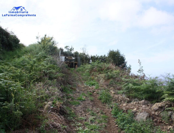 Rustic land For sell in Realejo Alto in Santa Cruz de Tenerife 