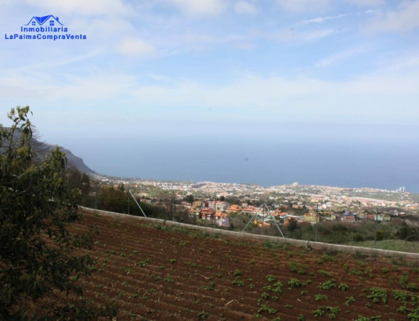 Rustic land For sell in Realejo Alto in Santa Cruz de Tenerife 