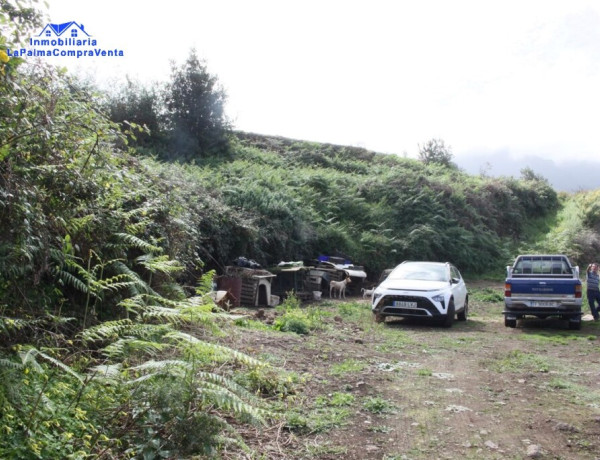 Rustic land For sell in Realejo Alto in Santa Cruz de Tenerife 