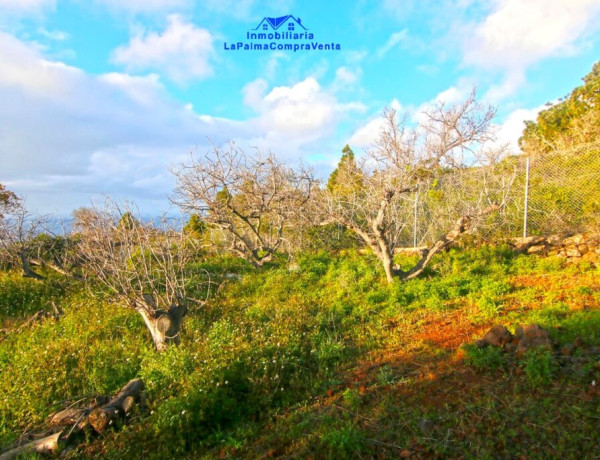 Casa-Chalet en Venta en Aguatavar Santa Cruz de Tenerife 