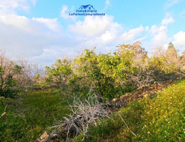 Casa-Chalet en Venta en Aguatavar Santa Cruz de Tenerife 