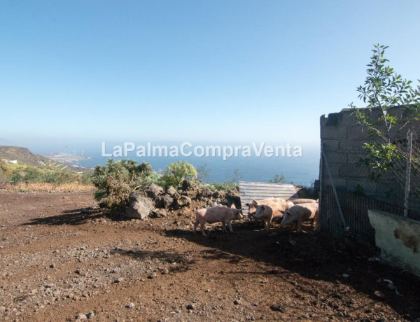 Suelo rústico en Venta en Lodero Santa Cruz de Tenerife 