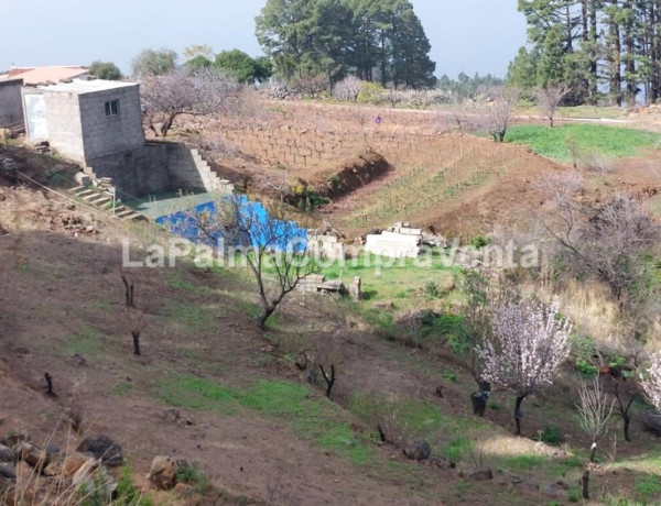 Rustic land For sell in Garafia in Santa Cruz de Tenerife 