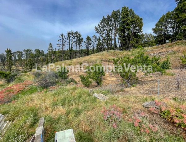 Rustic land For sell in Garafia in Santa Cruz de Tenerife 