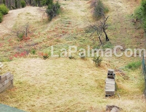 Rustic land For sell in Garafia in Santa Cruz de Tenerife 