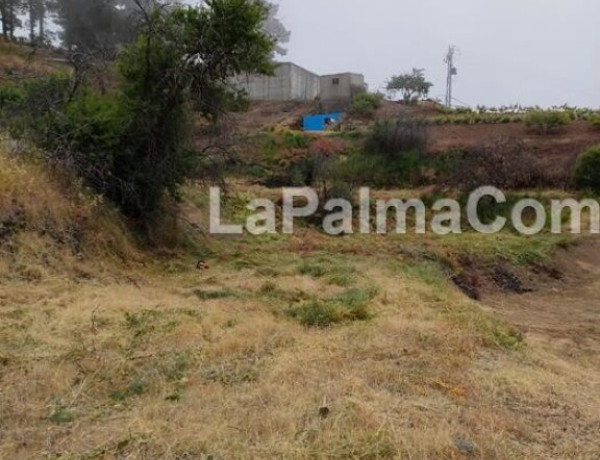 Rustic land For sell in Garafia in Santa Cruz de Tenerife 