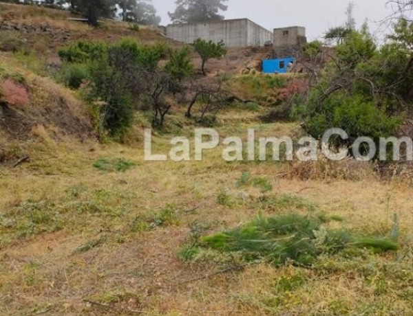 Rustic land For sell in Garafia in Santa Cruz de Tenerife 