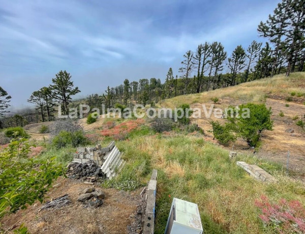 Rustic land For sell in Garafia in Santa Cruz de Tenerife 