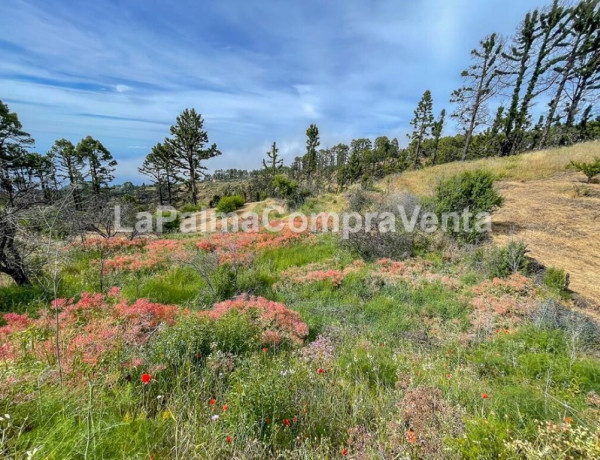 Rustic land For sell in Garafia in Santa Cruz de Tenerife 