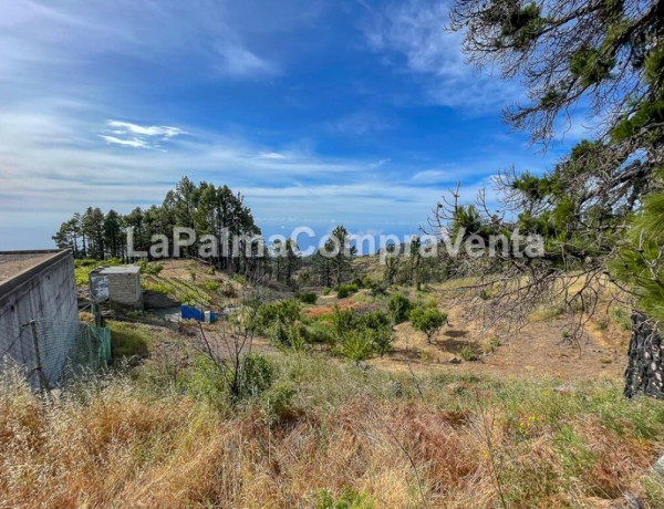 Rustic land For sell in Garafia in Santa Cruz de Tenerife 