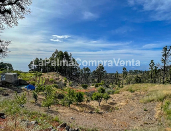 Rustic land For sell in Garafia in Santa Cruz de Tenerife 
