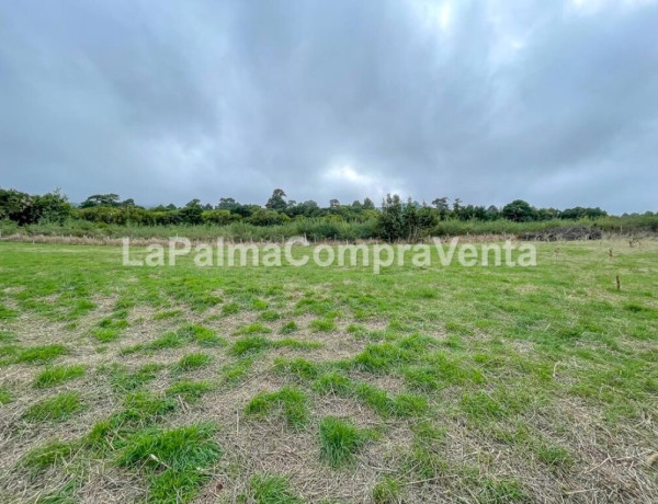 Rustic land For sell in Roque Faro in Santa Cruz de Tenerife 