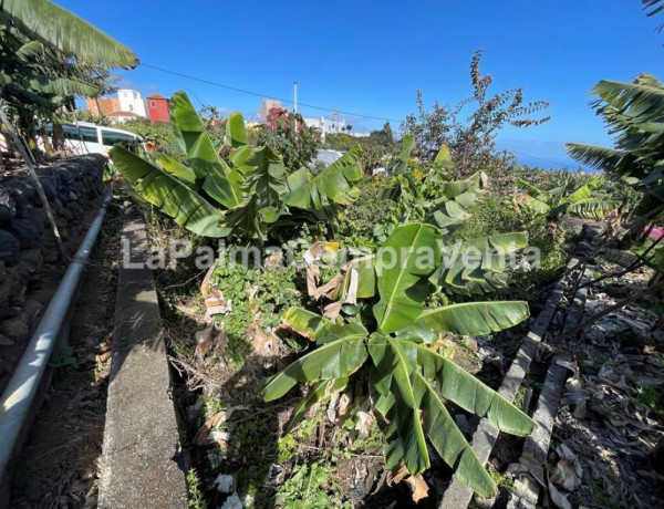 Urban land For sell in San Andres Y Sauces in Santa Cruz de Tenerife 