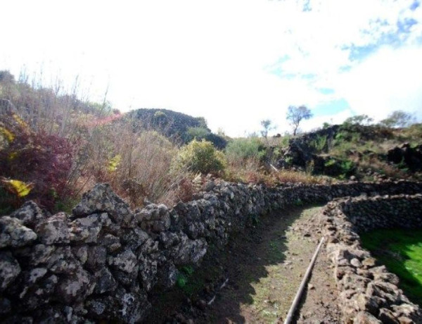 Solar residencial en Venta en Paso, El Santa Cruz de Tenerife