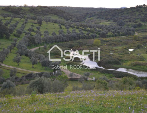 Rustic land For sell in Higuera De Vargas in Badajoz 