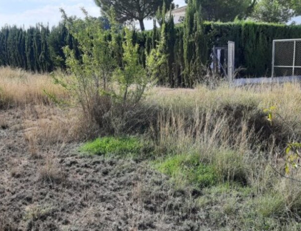 ¿BUSCAS COMPRAR TERRENO EN YECLA?