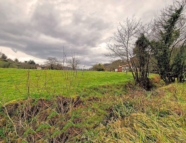 SINGULAR CASA MOLINO DEL SIGLO XVIII EN ASTURIAS.