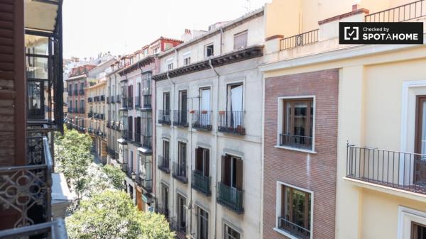 Habitación soleada en piso de 12 habitaciones en Sol, Madrid