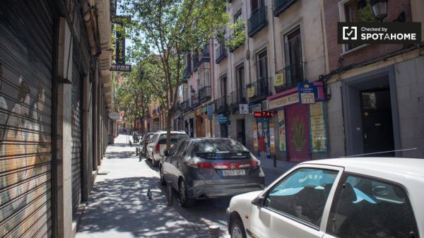 Habitación soleada en piso de 12 habitaciones en Sol, Madrid