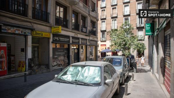 Habitación soleada en piso de 12 habitaciones en Sol, Madrid
