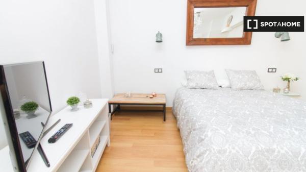 Encantador estudio moderno en el centro de Málaga