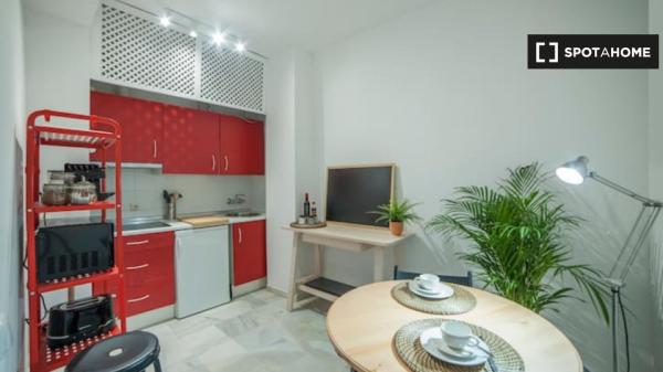 Piso de 1 dormitorio en Sevilla