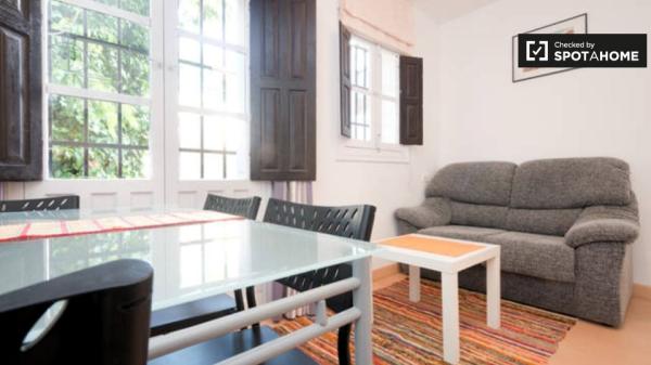 Adorable apartamento de 1 dormitorio en alquiler en Albaicín, Granada