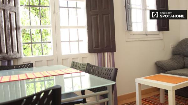 Adorable apartamento de 1 dormitorio en alquiler en Albaicín, Granada