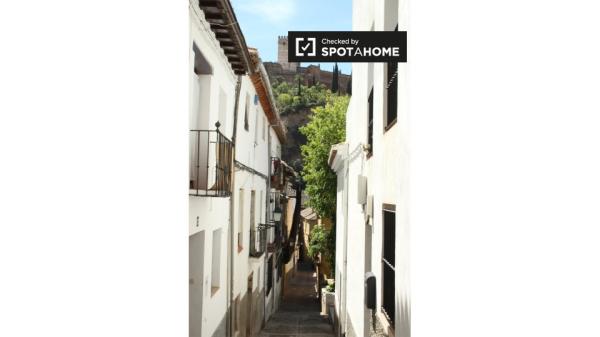 Adorable apartamento de 1 dormitorio en alquiler en Albaicín, Granada
