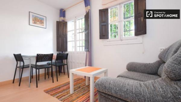 Adorable apartamento de 1 dormitorio en alquiler en Albaicín, Granada