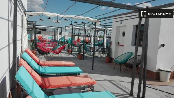 Habitación Estudio Individual Cartuja - Media pensión incluida