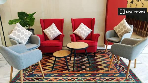 Habitación Estudio Individual Cartuja - Media pensión incluida