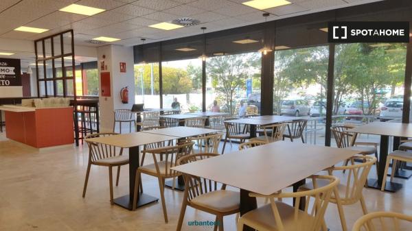 Habitación Estudio Individual Cartuja - Media pensión incluida